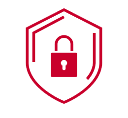 Delivery with warranty and official invoice